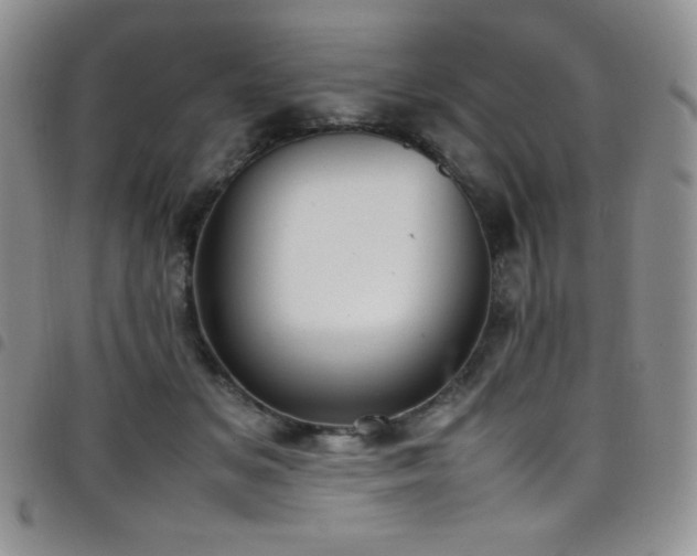 X0000099230509200804241455