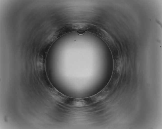 X0000099230510200804241455