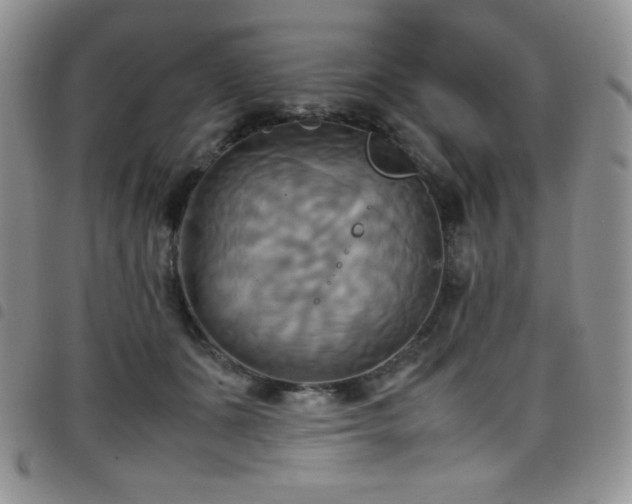 X0000099230511200804241455