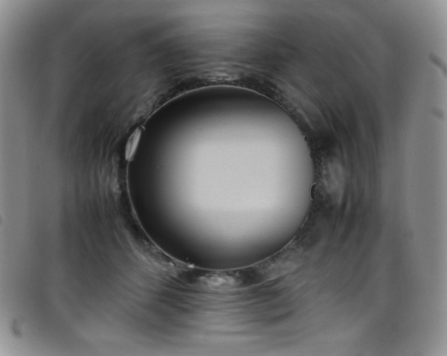 X0000099230512200804241455