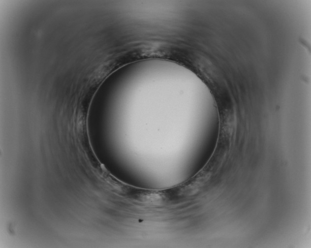 X0000099230513200804241455