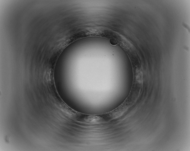 X0000099230514200804241455