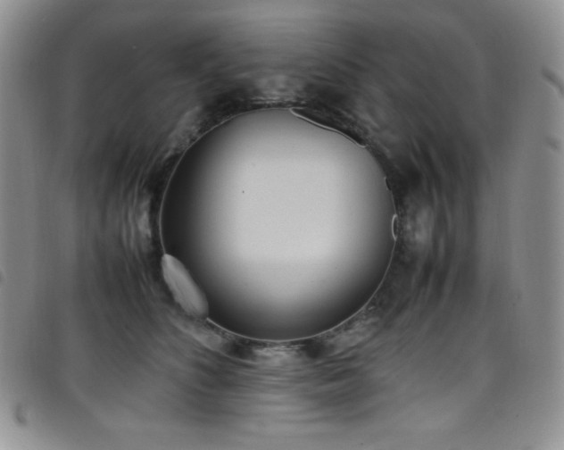 X0000099230516200804241455