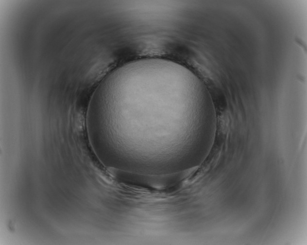 X0000099230517200804241455