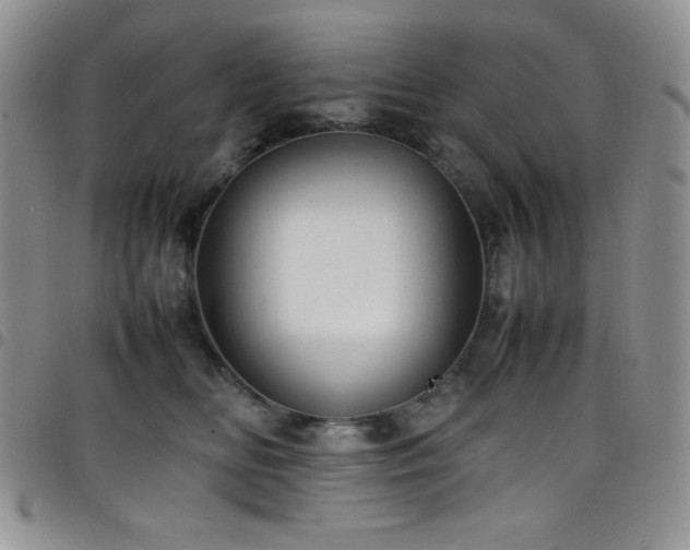 X0000099230518200804241455