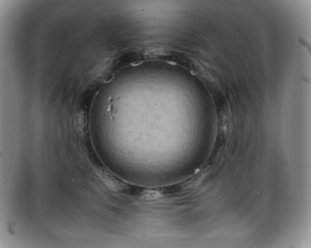 X0000099230519200804241455