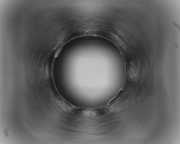 X0000099230520200804241455