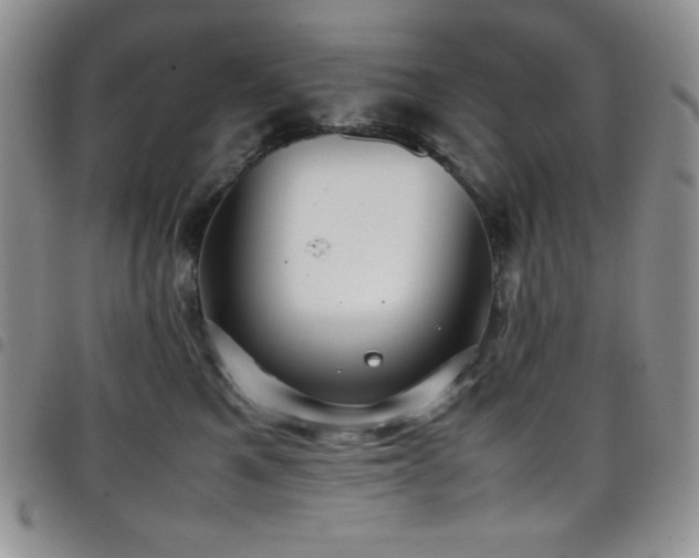 X0000099230521200804241455