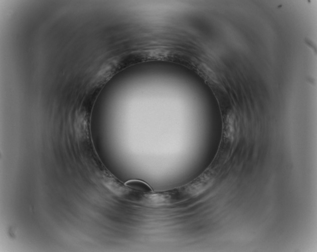 X0000099230522200804241455