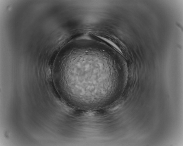 X0000099230523200804241455