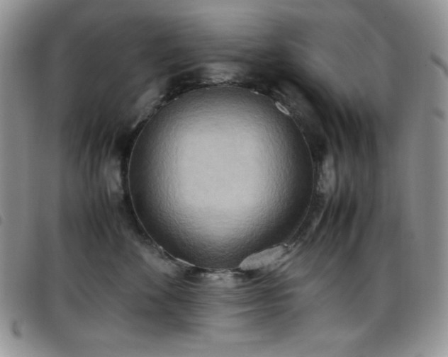 X0000099230524200804241455