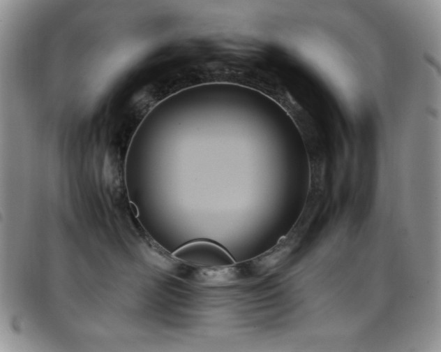 X0000099230526200804241455