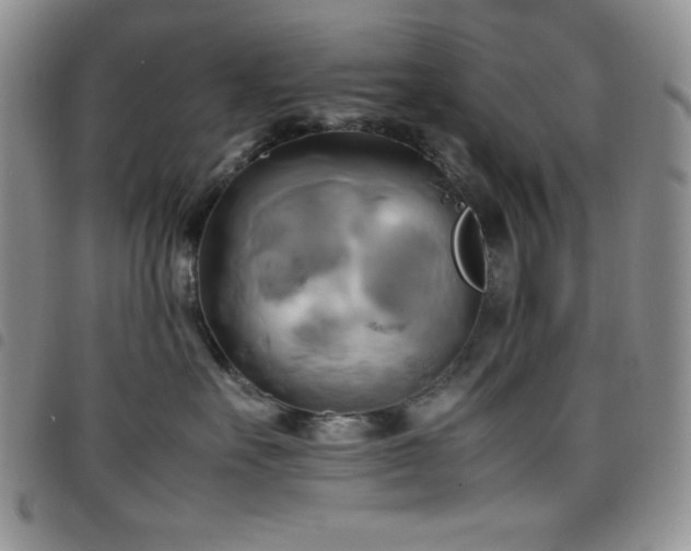 X0000099230527200804241455