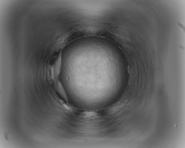 X0000099230528200804241455