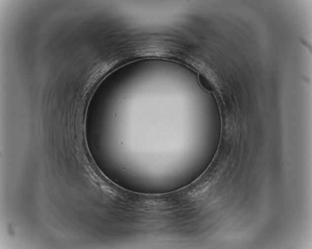 X0000099230529200804241454