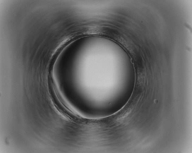 X0000099230530200804241454