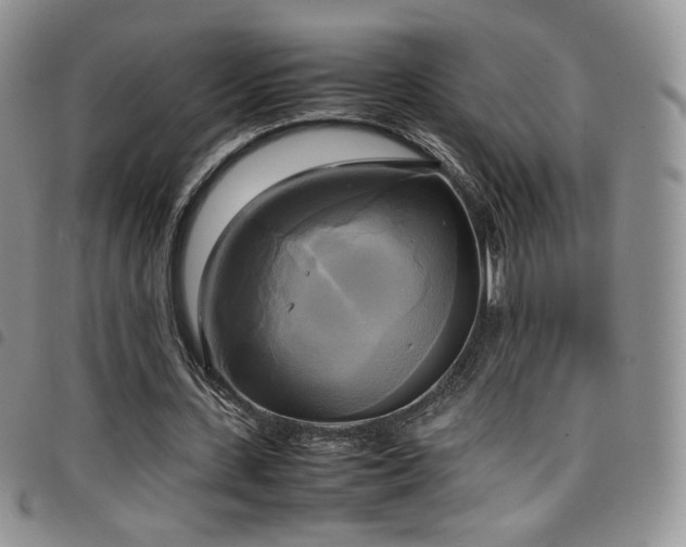 X0000099230531200804241455