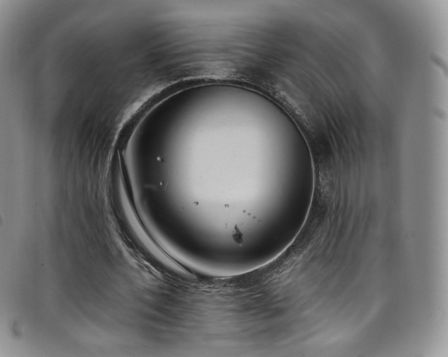 X0000099230532200804241455