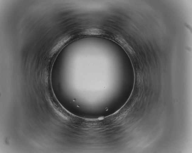 X0000099230533200804241455