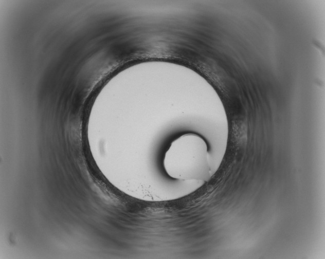 X0000099230534200804241455