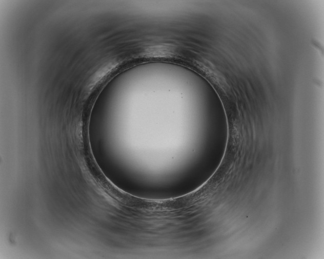 X0000099230535200804241455