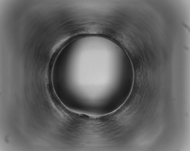 X0000099230536200804241455