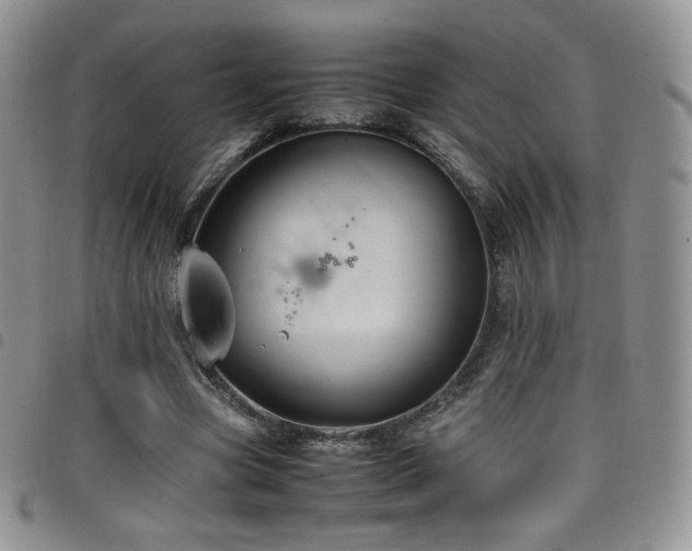 X0000099230537200804241455