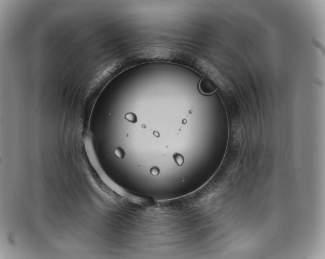 X0000099230538200804241455