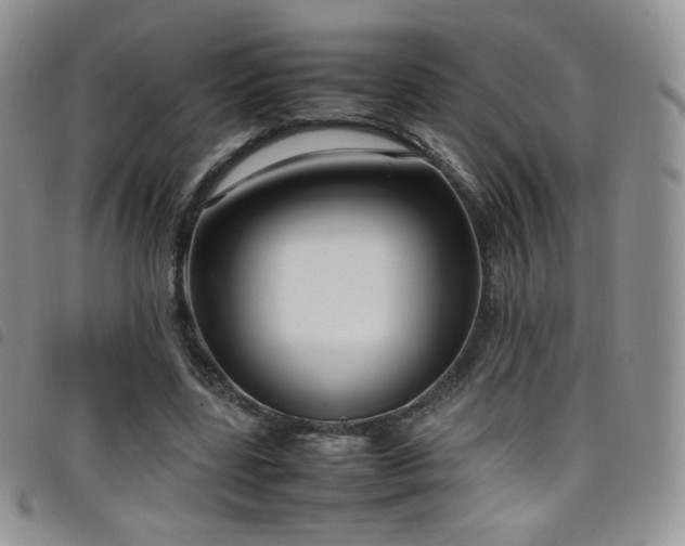 X0000099230539200804241455