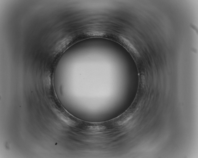 X0000099230541200804241455