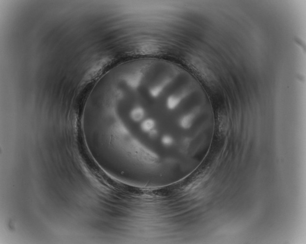 X0000099230542200804241455