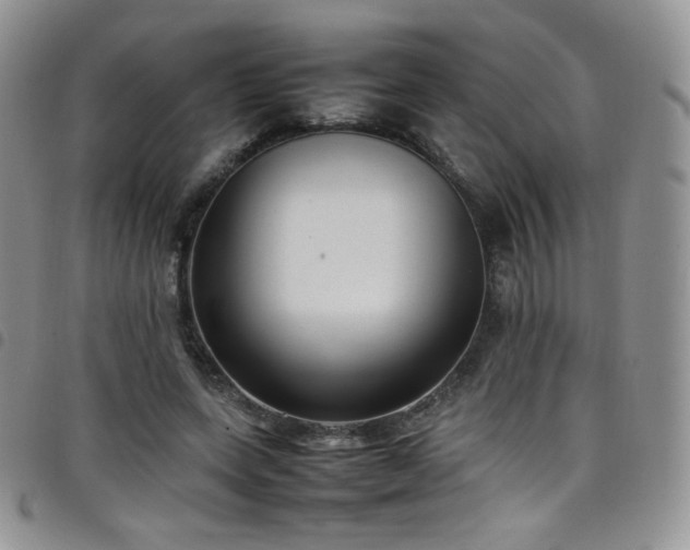 X0000099230543200804241455