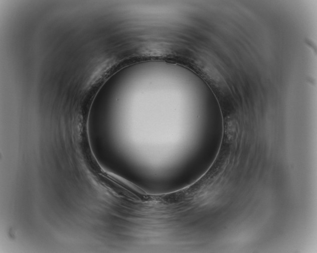 X0000099230544200804241455