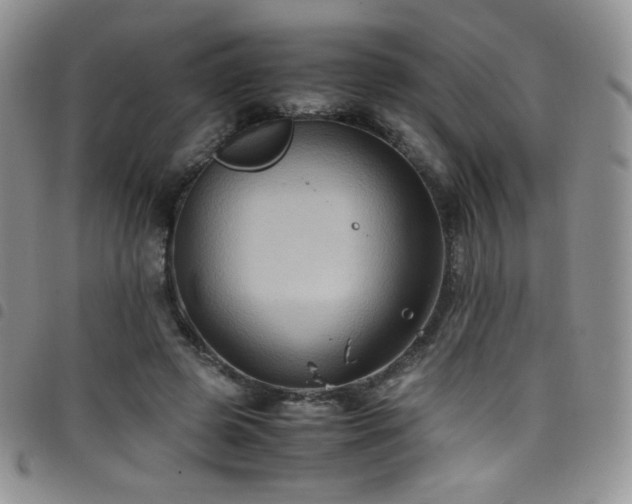 X0000099230545200804241455