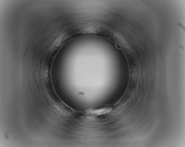 X0000099230548200804241455