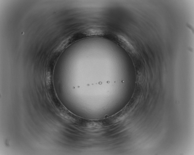 X0000099230549200804241455