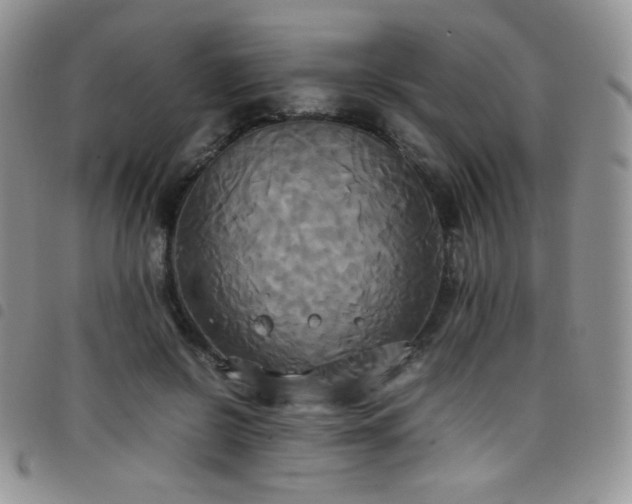 X0000099230550200804241455