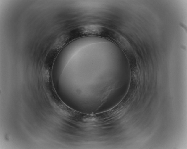 X0000099230551200804241455