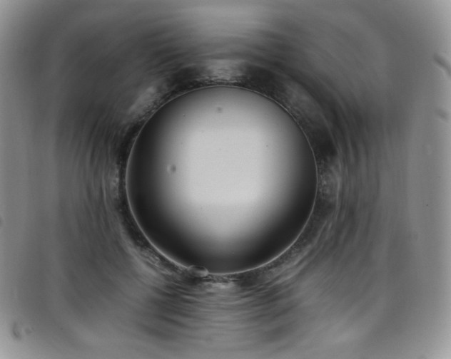 X0000099230552200804241455