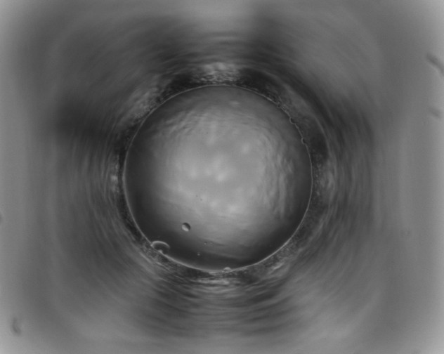 X0000099230553200804241455