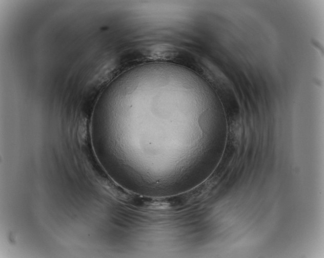 X0000099230554200804241455