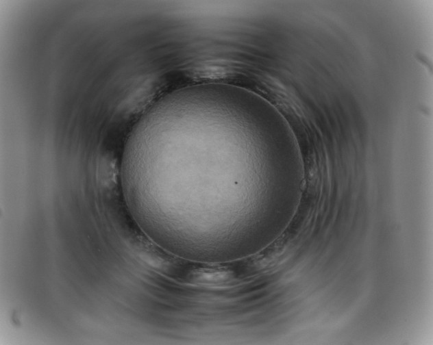 X0000099230555200804241455