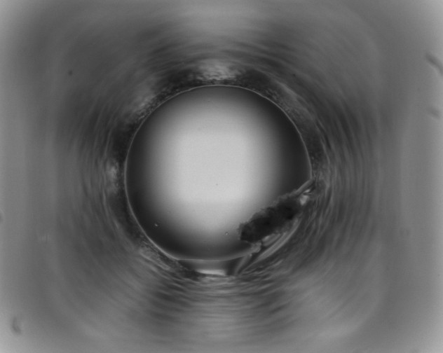 X0000099230556200804241455