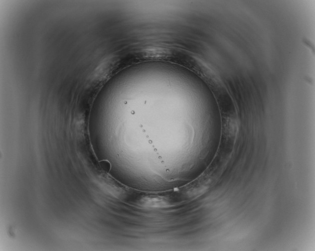 X0000099230557200804241455