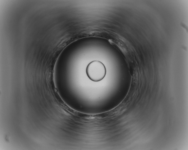 X0000099230558200804241455