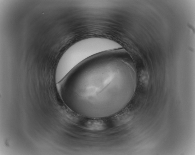 X0000099230559200804241455