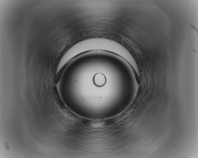 X0000099230560200804241455