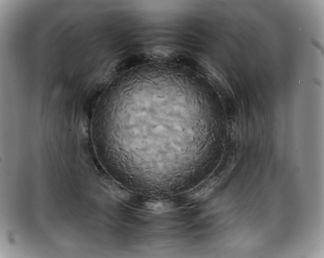 X0000099230561200804241455