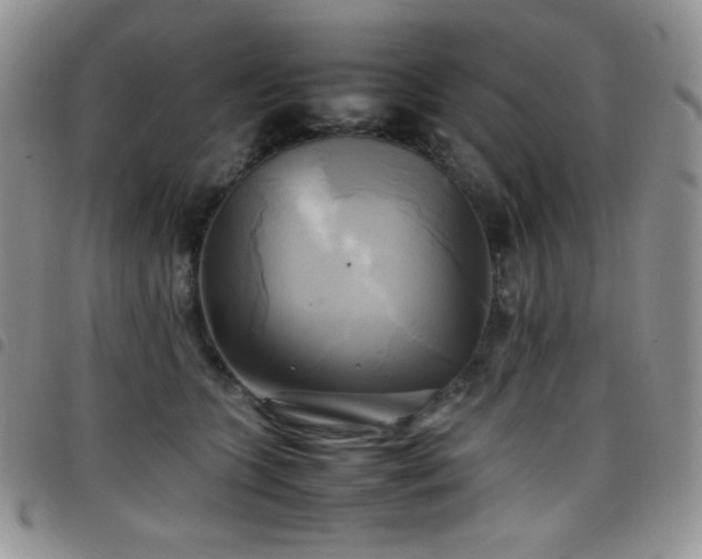 X0000099230563200804241455