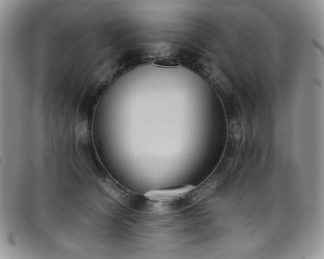 X0000099230564200804241455